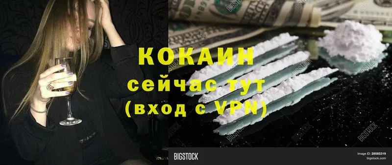 Cocaine Fish Scale  где купить   Алатырь 